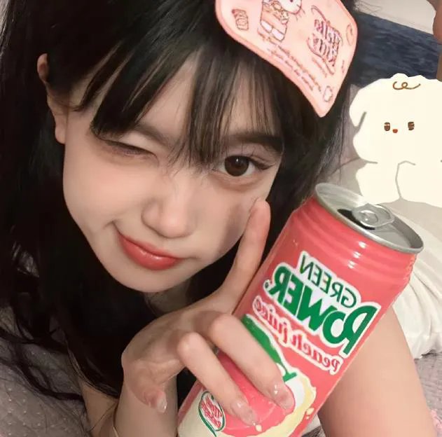 侨女日记封面