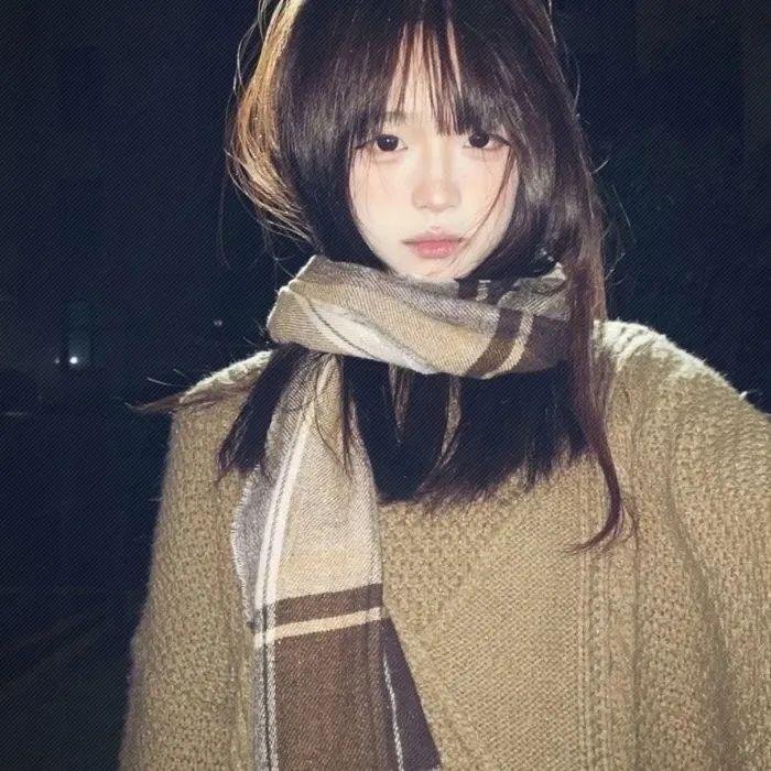 舞女大盗封面