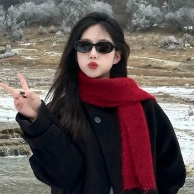 苏恩之争封面